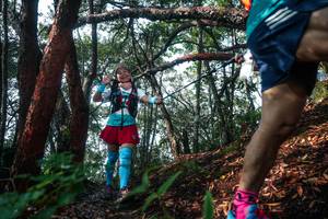 BIB: 
                            <button type="button" onclick="openModal(26344401)" class="btn btn-primary btn-sm float-right btn-popup" data-toggle="modal" data-target=".modal-high-quality">
                        <i class="fas fa-shopping-cart"></i> Add to Cart
                    </button>
                                            <button type="button" onclick="isThisMe(26344401, true)" class="btn btn-success btn-sm float-right btn-popup btn-isme hidden" data-toggle="tooltip" data-placement="bottom" title="นี่คือรูปของคุณใช่ไหม คลิกที่นี่เพื่อเอาเข้าอัลบั้ม">
                        <i class="fas fa-plus"></i> Add to album
                    </button>
                    <button type="button" onclick="isThisMe(26344401, false)" class="btn btn-warning btn-sm float-right btn-popup btn-isnotme hidden">
                        <i class="fas fa-ban"></i> Remove from album
                    </button>